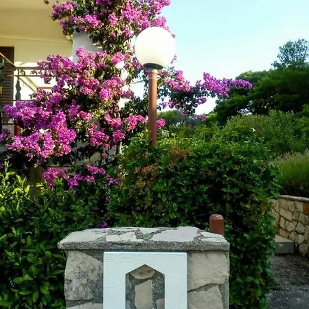 Apartments Zirje 3*